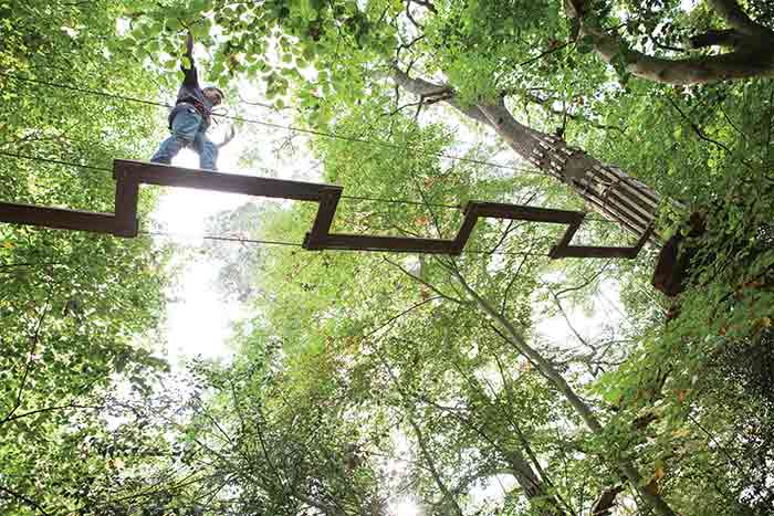 GO APE 247 airport ride