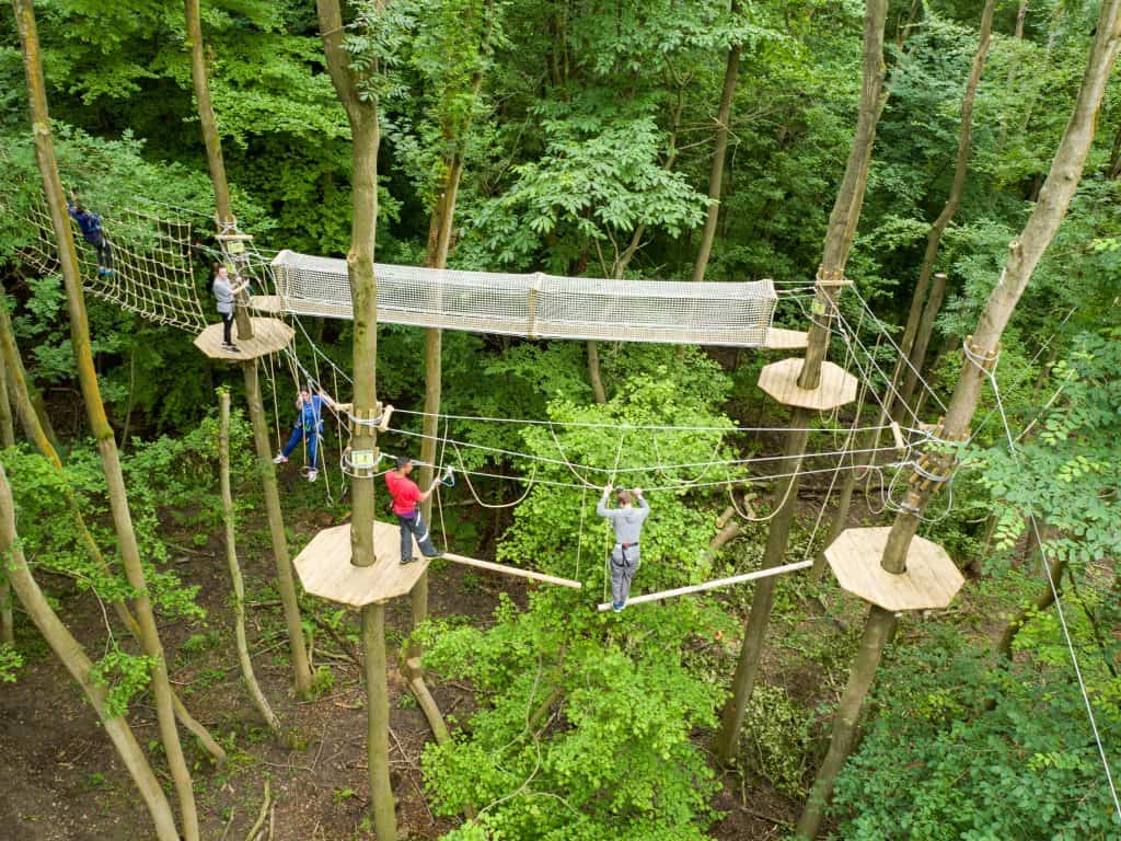 Go Ape Bracknell Fun - 247 airport ride
